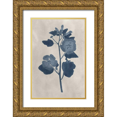 Navy Pressed Flowers V Gold Ornate Wood Framed Art Print with Double Matting by Vision Studio