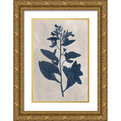 Navy Pressed Flowers VI Gold Ornate Wood Framed Art Print with Double Matting by Vision Studio