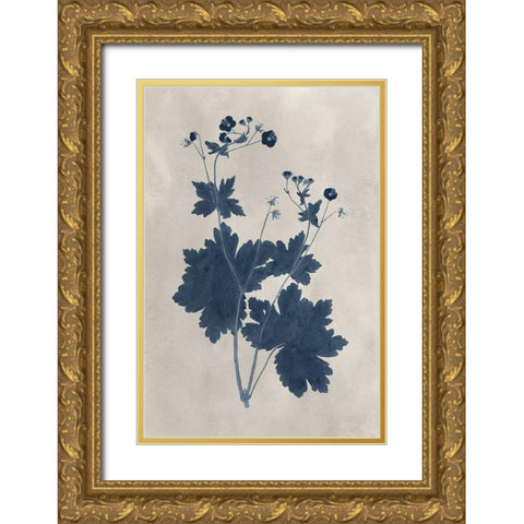 Navy Pressed Flowers VIII Gold Ornate Wood Framed Art Print with Double Matting by Vision Studio