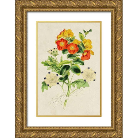 Paxton Botanical Pairing II Gold Ornate Wood Framed Art Print with Double Matting by Paxton