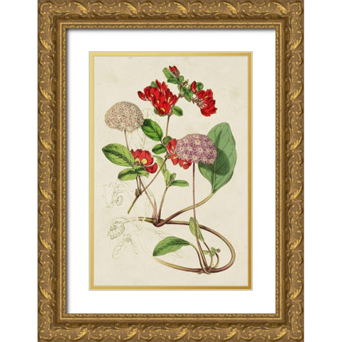 Paxton Botanical Pairing III Gold Ornate Wood Framed Art Print with Double Matting by Paxton