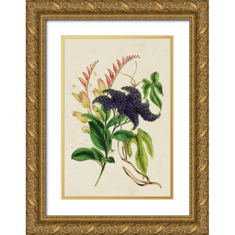 Paxton Botanical Pairing IV Gold Ornate Wood Framed Art Print with Double Matting by Paxton