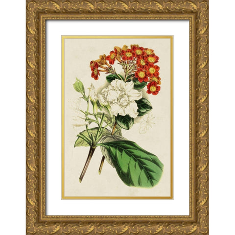 Paxton Botanical Pairing V Gold Ornate Wood Framed Art Print with Double Matting by Paxton