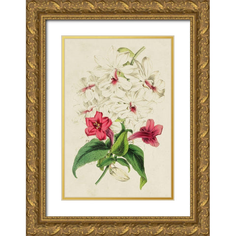 Paxton Botanical Pairing VI Gold Ornate Wood Framed Art Print with Double Matting by Paxton