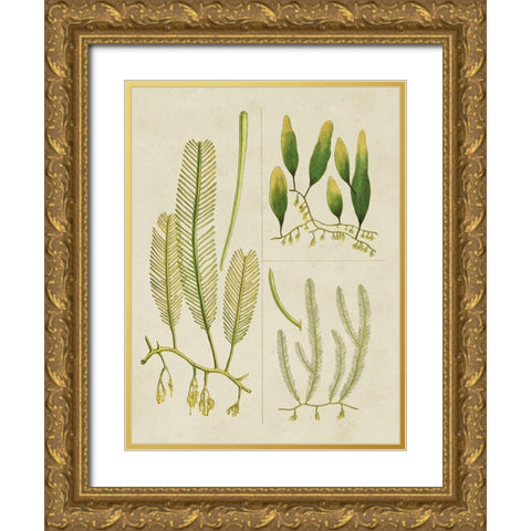 Vintage Sea Grass I Gold Ornate Wood Framed Art Print with Double Matting by Vision Studio