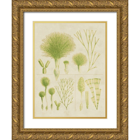 Vintage Sea Grass III Gold Ornate Wood Framed Art Print with Double Matting by Vision Studio