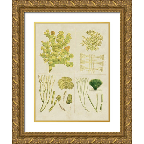 Vintage Sea Grass IV Gold Ornate Wood Framed Art Print with Double Matting by Vision Studio