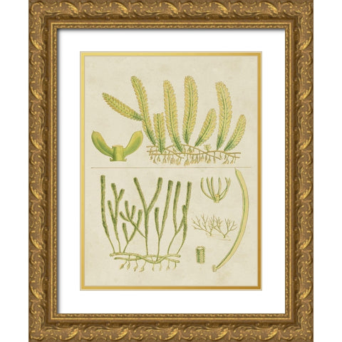 Vintage Sea Grass V Gold Ornate Wood Framed Art Print with Double Matting by Vision Studio