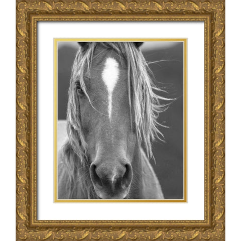 Close Up Gold Ornate Wood Framed Art Print with Double Matting by Linden, Sally