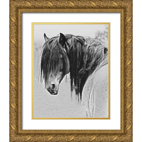 Freedom Gold Ornate Wood Framed Art Print with Double Matting by Linden, Sally