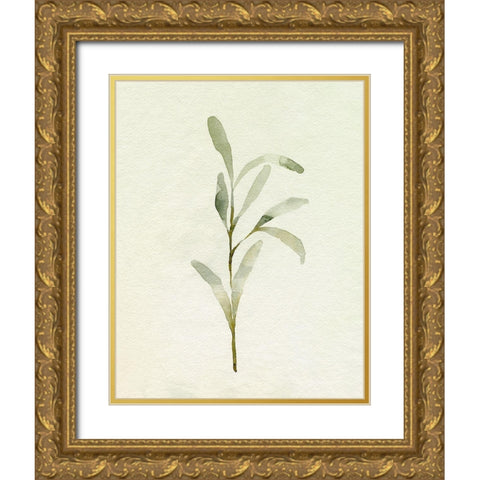 Olive Leaves I Gold Ornate Wood Framed Art Print with Double Matting by Caroline, Emma