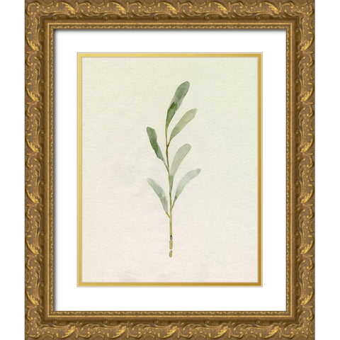 Olive Leaves II Gold Ornate Wood Framed Art Print with Double Matting by Caroline, Emma