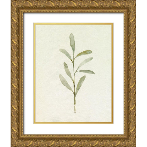 Olive Leaves III Gold Ornate Wood Framed Art Print with Double Matting by Caroline, Emma