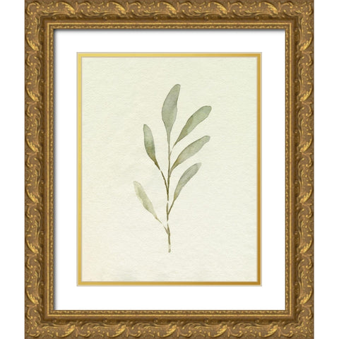 Olive Leaves IV Gold Ornate Wood Framed Art Print with Double Matting by Caroline, Emma