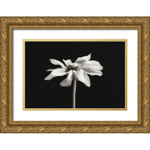 Elegance Floral II Gold Ornate Wood Framed Art Print with Double Matting by Poinski, Dianne