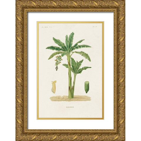 Antique Tree with Fruit III Gold Ornate Wood Framed Art Print with Double Matting by Unknown