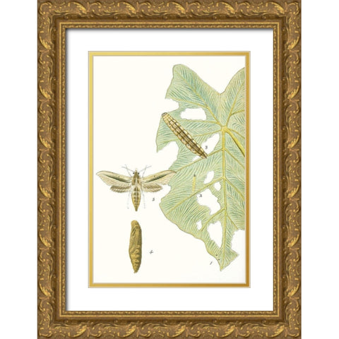 Antique Butterflies and Leaves I Gold Ornate Wood Framed Art Print with Double Matting by Vision Studio