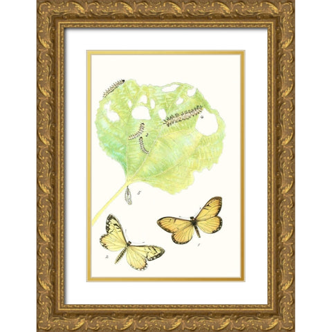 Antique Butterflies and Leaves II Gold Ornate Wood Framed Art Print with Double Matting by Vision Studio