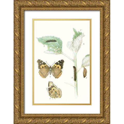 Antique Butterflies and Leaves III Gold Ornate Wood Framed Art Print with Double Matting by Vision Studio