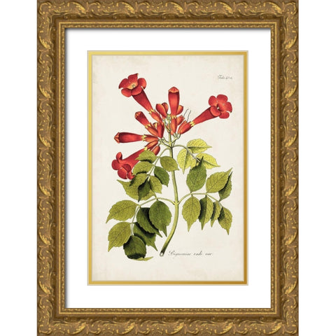 Tropical Trumpet Flowers II Gold Ornate Wood Framed Art Print with Double Matting by Unknown