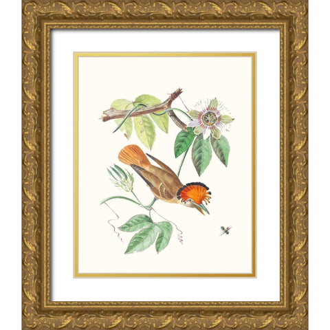 Cuvier Bird And Habitat I Gold Ornate Wood Framed Art Print with Double Matting by Cuvier, Georges