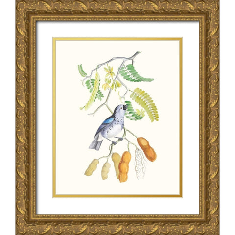Cuvier Bird And Habitat II Gold Ornate Wood Framed Art Print with Double Matting by Cuvier, Georges