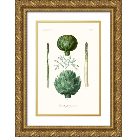 Fruit And Vegetable Varieties II Gold Ornate Wood Framed Art Print with Double Matting by Unknown