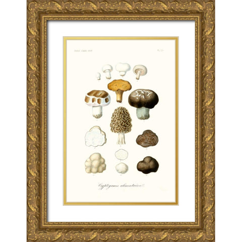 Fruit And Vegetable Varieties IV Gold Ornate Wood Framed Art Print with Double Matting by Unknown