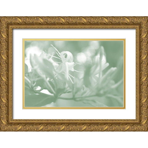 Honeysuckle Summer I Gold Ornate Wood Framed Art Print with Double Matting by Chandler, Sharon