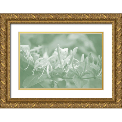 Honeysuckle Summer III Gold Ornate Wood Framed Art Print with Double Matting by Chandler, Sharon