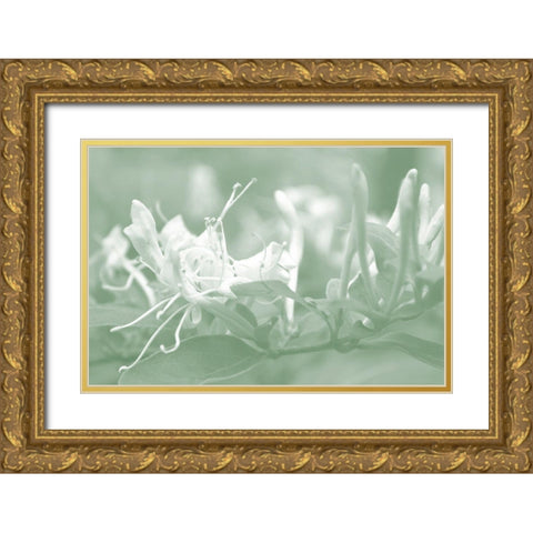 Honeysuckle Summer IV Gold Ornate Wood Framed Art Print with Double Matting by Chandler, Sharon