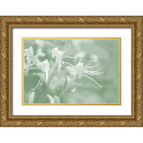 Honeysuckle Summer V Gold Ornate Wood Framed Art Print with Double Matting by Chandler, Sharon