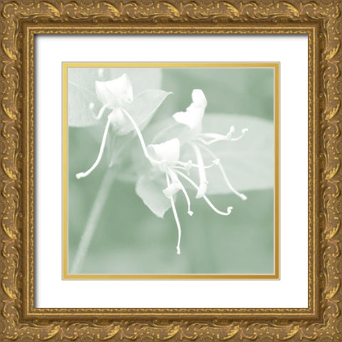 Honeysuckle Summer VI Gold Ornate Wood Framed Art Print with Double Matting by Chandler, Sharon