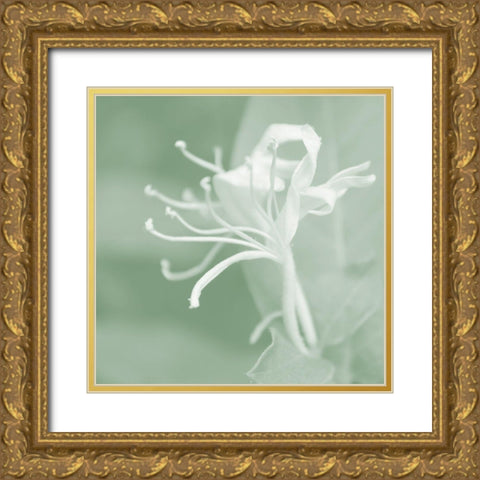 Honeysuckle Summer VII Gold Ornate Wood Framed Art Print with Double Matting by Chandler, Sharon