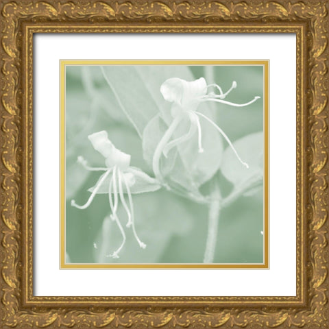 Honeysuckle Summer VIII Gold Ornate Wood Framed Art Print with Double Matting by Chandler, Sharon