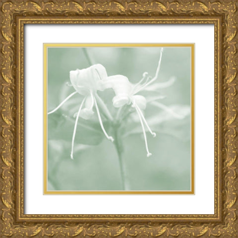 Honeysuckle Summer IX Gold Ornate Wood Framed Art Print with Double Matting by Chandler, Sharon