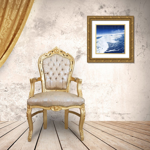 Arctic Circle III Gold Ornate Wood Framed Art Print with Double Matting by Willett, Michael