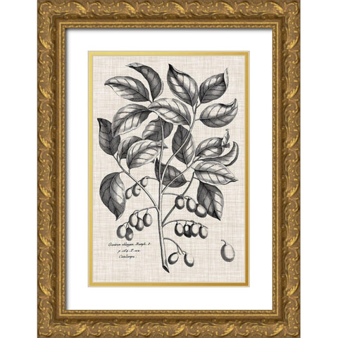 Custom Black And Oatmeal Linen Botanical II Gold Ornate Wood Framed Art Print with Double Matting by Vision Studio