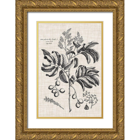 Custom Black And Oatmeal Linen Botanical IV Gold Ornate Wood Framed Art Print with Double Matting by Vision Studio