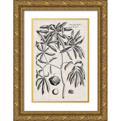 Custom Black And Oatmeal Linen Botanical V Gold Ornate Wood Framed Art Print with Double Matting by Vision Studio