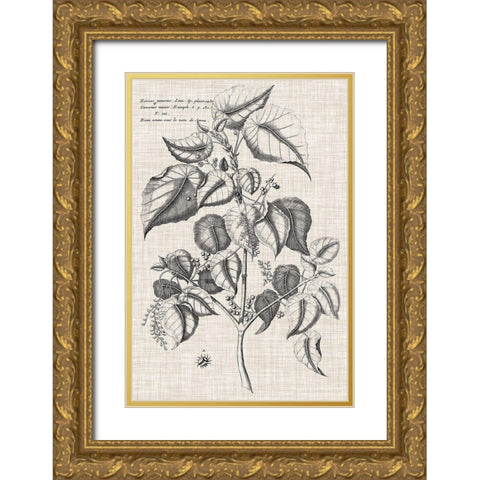 Custom Black And Oatmeal Linen Botanical VI Gold Ornate Wood Framed Art Print with Double Matting by Vision Studio