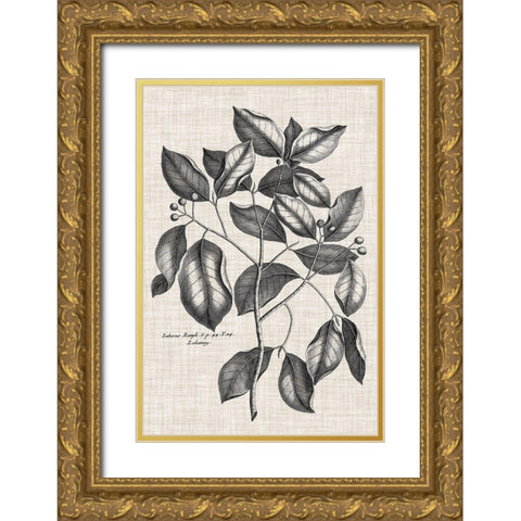 Custom Black And Oatmeal Linen Botanical VII Gold Ornate Wood Framed Art Print with Double Matting by Vision Studio