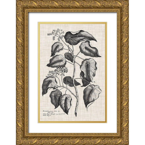 Custom Black And Oatmeal Linen Botanical VIII Gold Ornate Wood Framed Art Print with Double Matting by Vision Studio