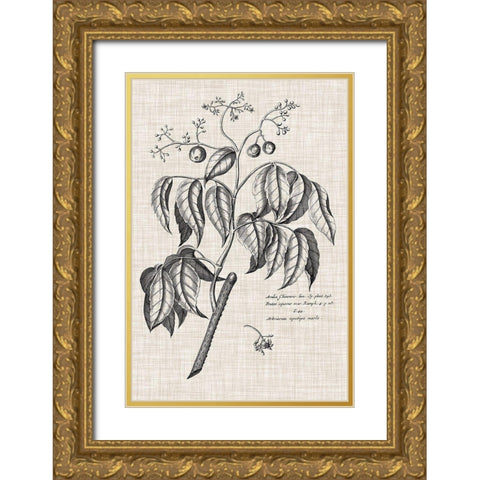 Custom Black And Oatmeal Linen Botanical IX Gold Ornate Wood Framed Art Print with Double Matting by Vision Studio