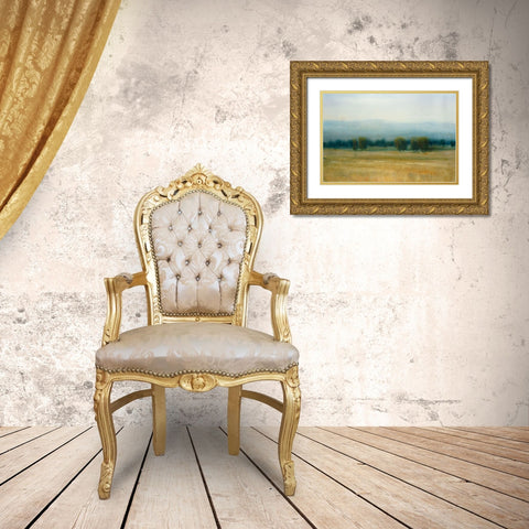 Tranquil Morning II Gold Ornate Wood Framed Art Print with Double Matting by OToole, Tim