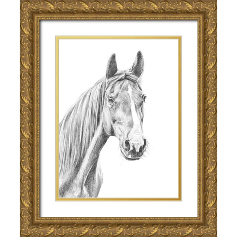 Equine Portrait Sketch I Gold Ornate Wood Framed Art Print with Double Matting by Warren, Annie