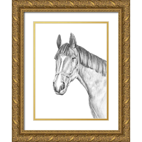 Equine Portrait Sketch II Gold Ornate Wood Framed Art Print with Double Matting by Warren, Annie