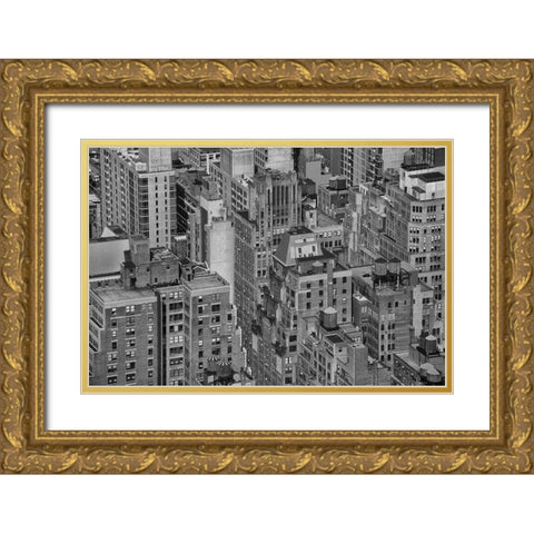 Velvet Views I Gold Ornate Wood Framed Art Print with Double Matting by Stelfox, Norm