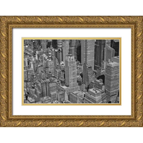 Velvet Views III Gold Ornate Wood Framed Art Print with Double Matting by Stelfox, Norm
