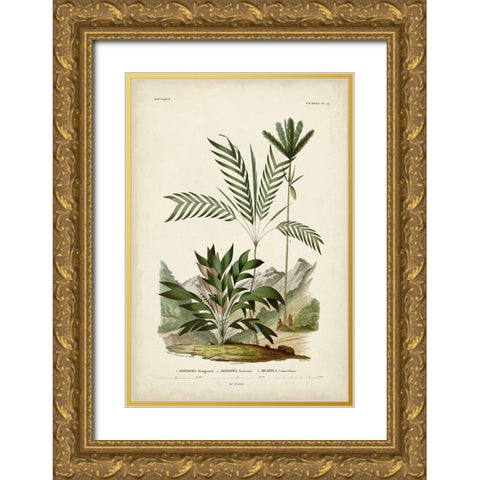 Antique Palm Collection I Gold Ornate Wood Framed Art Print with Double Matting by DOrbigny, M. Charles
